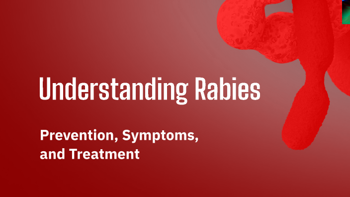 Understanding Rabies by Wdy Sln on Prezi