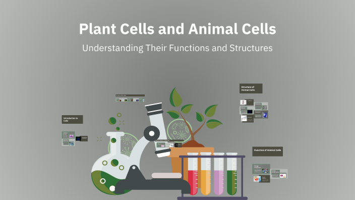 Plant Cells and Animal Cells by HUDSON DANIEL on Prezi
