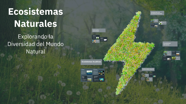 Ecosistemas Naturales by Cesar abad Delgado ledezma on Prezi