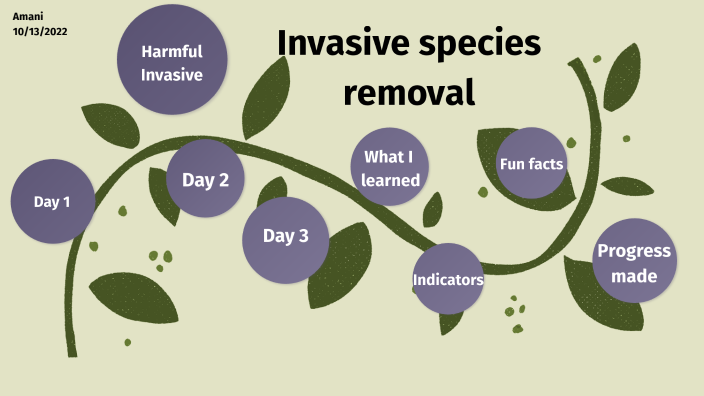 Invasive Species Removal By Amani Gupta On Prezi