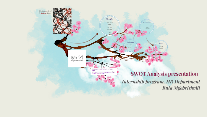 SWOT Analysis presentation by buta mgebrishvili on Prezi