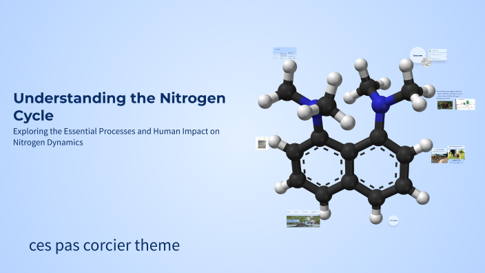Understanding the Nitrogen Cycle by oscar james on Prezi