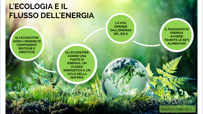 L'ECOLOGIA E IL FLUSSO DI ENERGIA by Fabio Manenti on Prezi