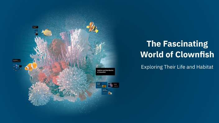The Fascinating World of Clownfish by Kent Bryant on Prezi