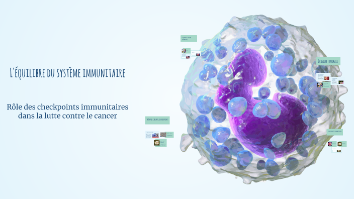 L'équilibre du système immunitaire by saidj rz on Prezi