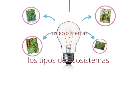 Los ecosistemas by Daniel Montenegro on Prezi