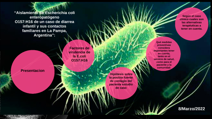 “Aislamiento de Escherichia coli enteropatógeno 2 O157:H16 de un caso ...