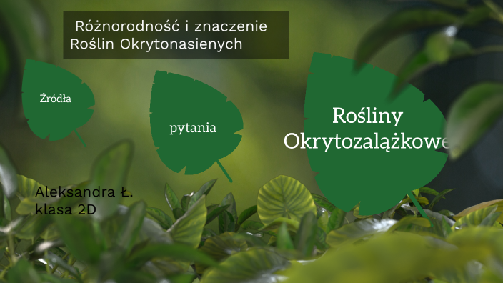 Pytania Na Sprawdzian Z Roślin Okrytozalążkowych prezi.com