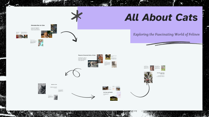 All About Cats by Денис Шебалков on Prezi