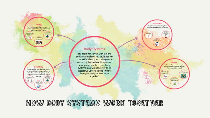 how-body-systems-work-together-by-ashley-calabro