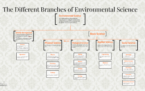 Environmental Health Is The Branch Of Environmental