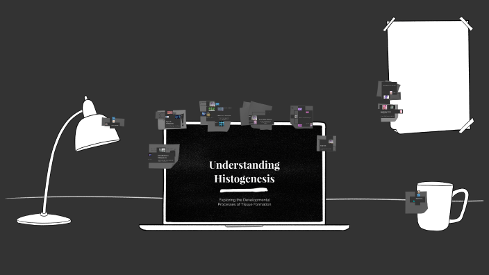 Understanding Histogenesis by S.A Akshaya on Prezi