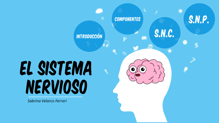 El sistema nervioso en vertebrados by Sabrina Ferrari on Prezi