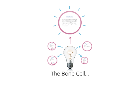 Scientific Name For Bone Cell By Ellie Gilliam Taylor