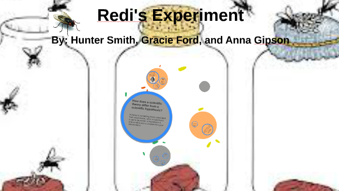 redi experiment support biogenesis