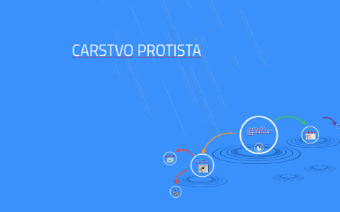 Carstvo Protista By Ljiljana Maravic Vasic