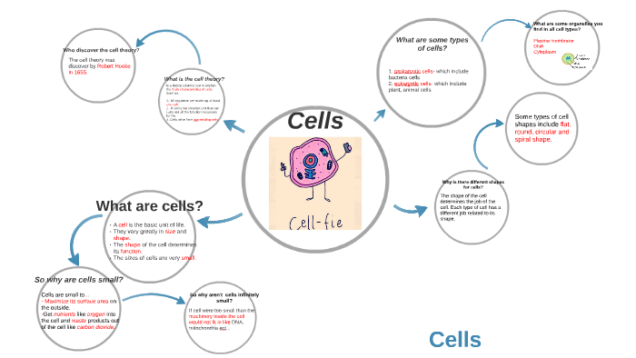 Cells by Yessica Lopez on Prezi
