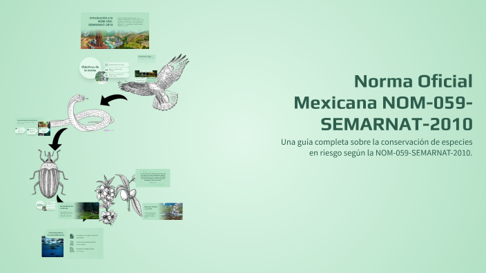 Iconos Nom 059 Norma Oficial Mexicana NOM-059-SEMARNAT-2010 by Vanessa Hilerio diaz on ...