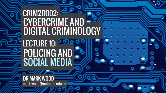 digital criminology essay