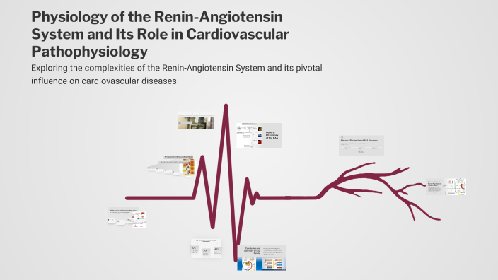 Physiology of the Renin-Angiotensin System and Its Role in ...