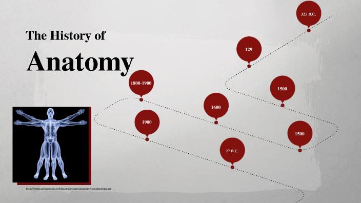 The History of Anatomy by Caroline Nistler on Prezi