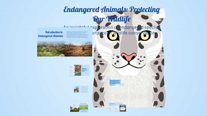 Endangered Animals: Protecting Our Wildlife by Mert Ungan on Prezi