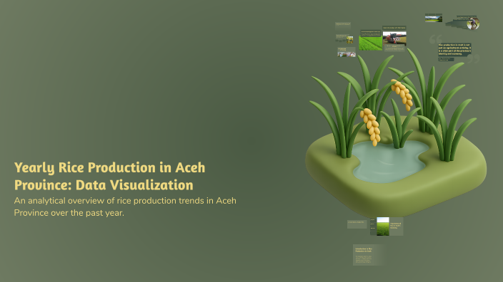 Yearly Rice Production in Aceh Province: Data Visualization by Haas ...