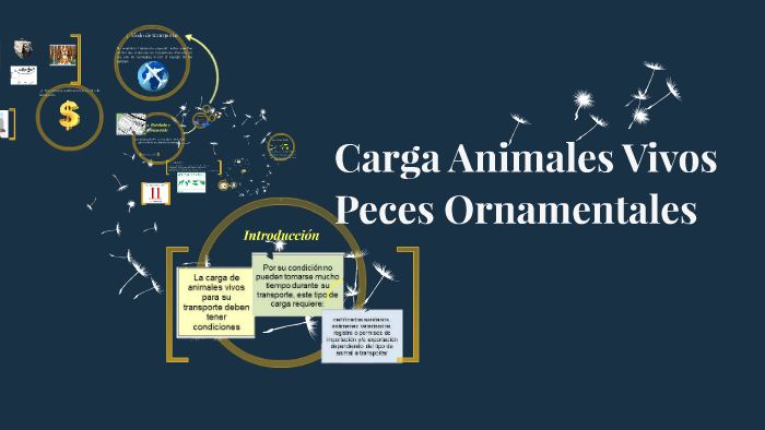 Carga Animales Vivos By Alex Alfonso On Prezi Next