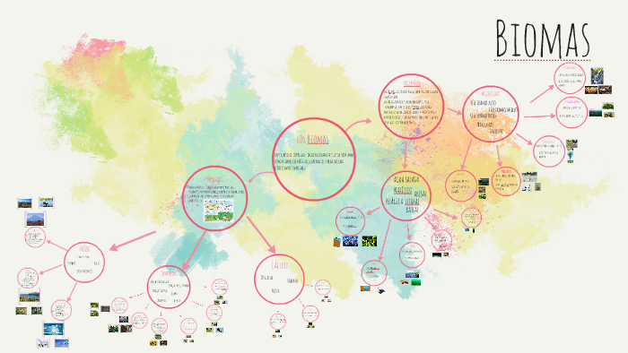Biomas by Lucía Benitez Gonzalez on Prezi