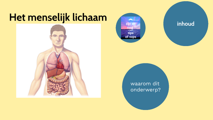 spreekbeurt, menselijk lichaam by jasmijn en saar van der vlist, mertz ...