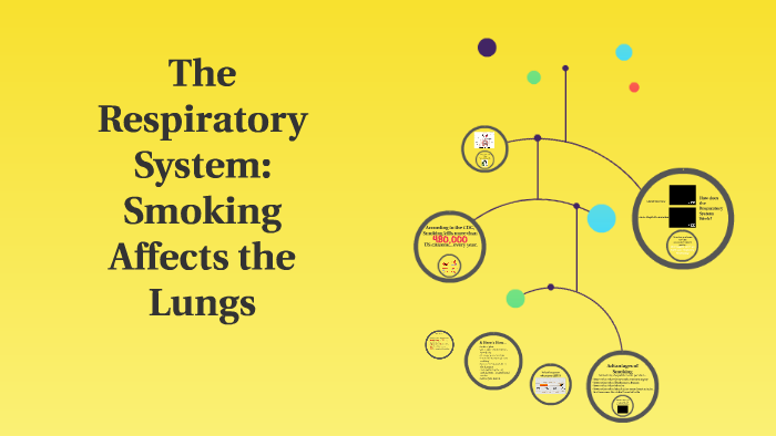 The Respiratory System: How Smoking Affects the Lungs by Fiona Puccio ...