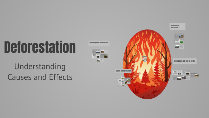 Deforestation by ariss travel on Prezi