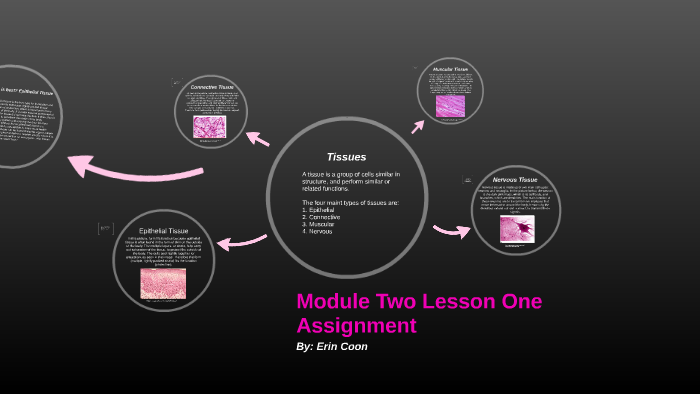 Module 2 Lesson 1 Assignment: Tissues by Erin Coon on Prezi