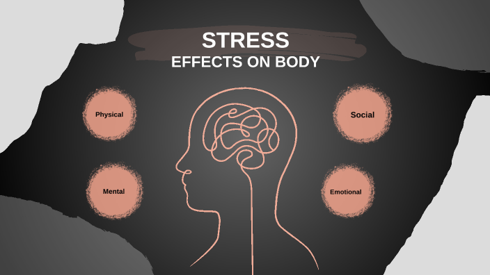 STRESS AFFECTING THE BODY by Taylar Patton on Prezi