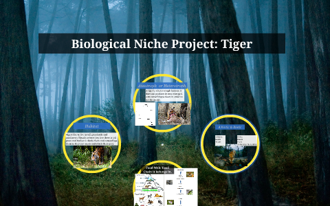 Biological Niche Project by Cassie Hawkins on Prezi