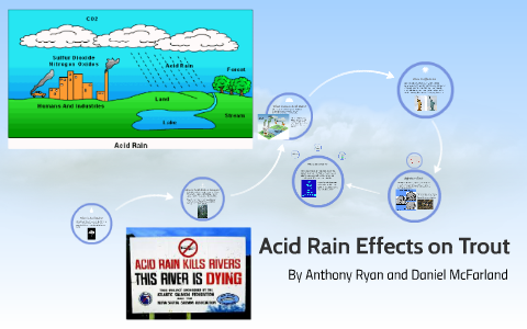 Acid Rain Effects on Trout by Anthony Ryan on Prezi
