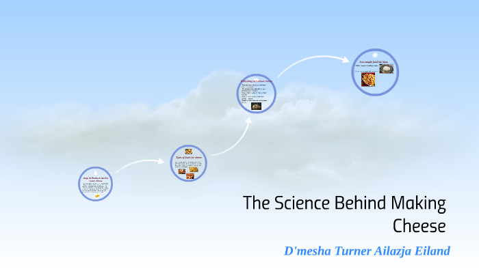 The Science Behind Cheese Making Cheese By Ailazja Eiland