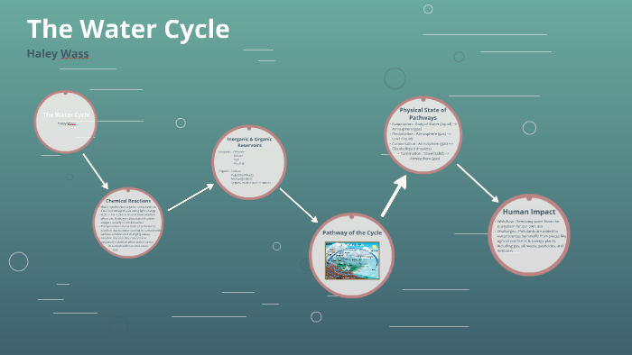The Water Cycle by Haley Wass on Prezi
