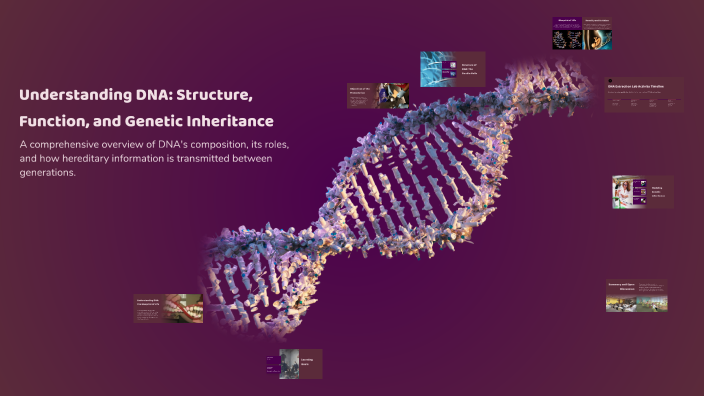 Understanding DNA: Structure, Function, and Genetic Inheritance by ...