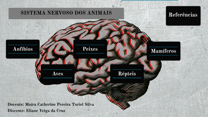 Mapa Sistema nervoso dos animais by Eliane Veiga da Cruz on Prezi
