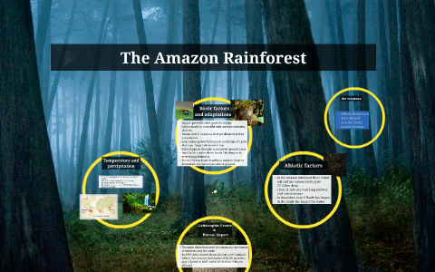 The Amazon Rainforest by annabel young on Prezi