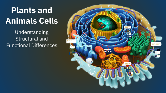 Plants and Animals Cells by Tialeigha Bell on Prezi