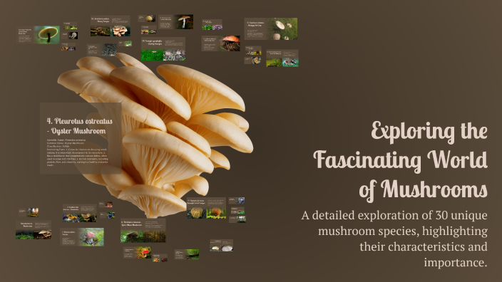 Exploring the Fascinating World of Mushrooms by Nart Sinani on Prezi