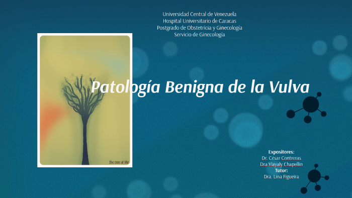 PATOLOGÍA BENIGNA DE LA VULVA: LÍQUEN, DERMATITIS, PSORIASIS