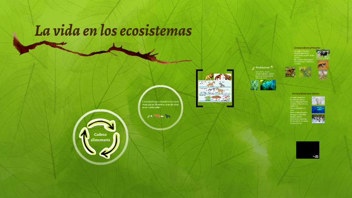 La vida en los ecosistemas by Paula Garrido on Prezi