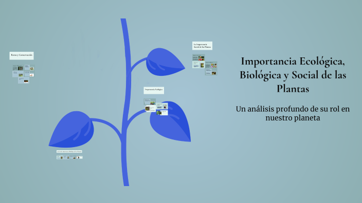Importancia Ecológica, Biológica y Social de las Plantas by Jose Chaves on Prezi