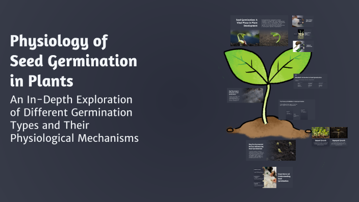 Physiology of Seed Germination in Plants by khalid hussain on Prezi