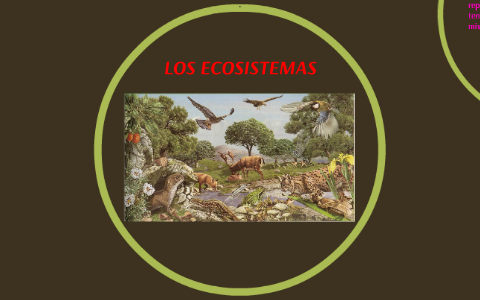 LOS ECOSISTEMAS by Lucía Soler on Prezi