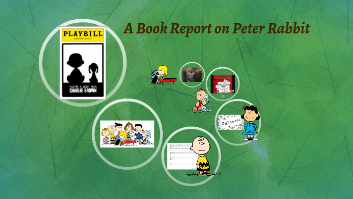 a book report on peter rabbit