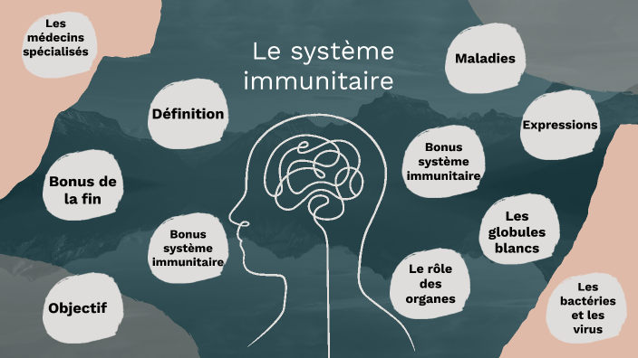 Système immunitaire by Evelyne Robidoux on Prezi